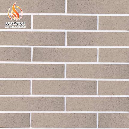 آجر نما طوسی روشن کد DG3